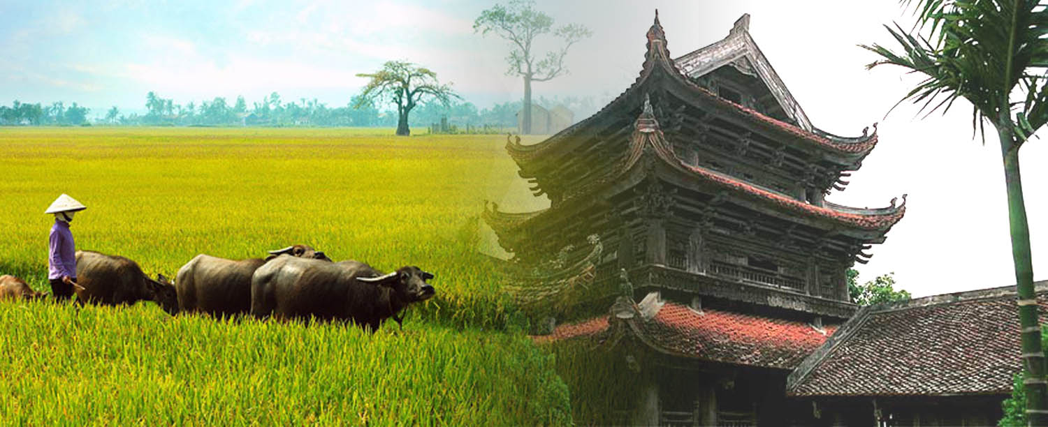 Thai binh.jpg