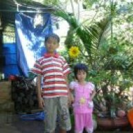 Đinh Gia Vượng