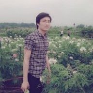 Phi Điệp