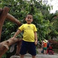Đinh Hải Sâm