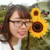 nguyenloan
