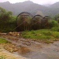 Đinh văn sơn hùng