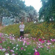 Đinh Minh Quyết